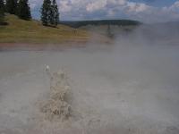 2491 Yellowstone Mudpots